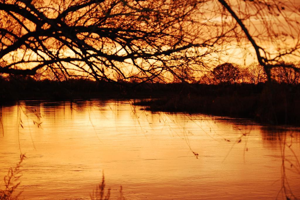 Land-Gut-Hotel Allerhof Frankenfeld エクステリア 写真